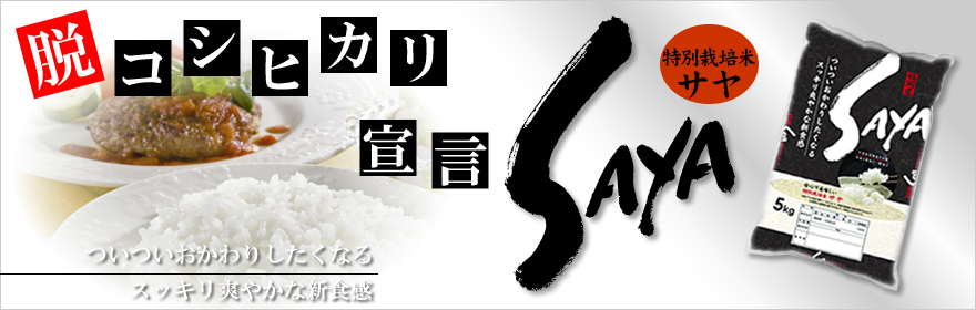 脱コシヒカリ宣言　特別栽培米SAYA ついついおかわりしたくなる　スッキリ爽やかな新食感